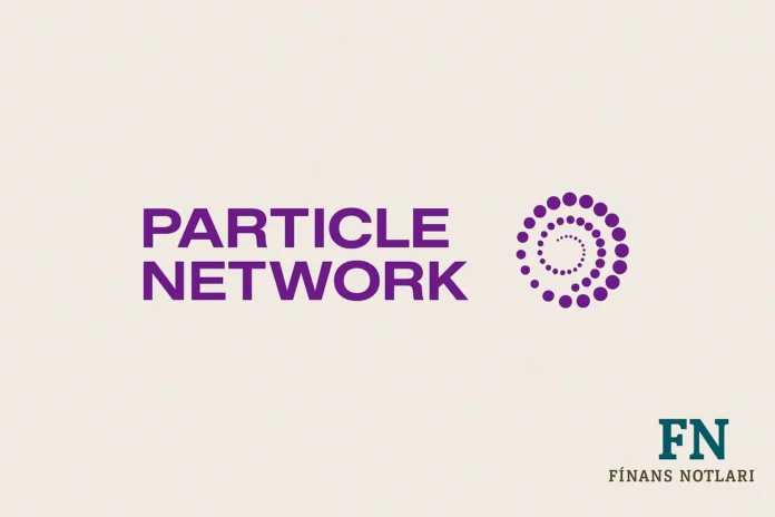 particle network
